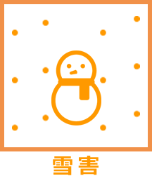 雪害