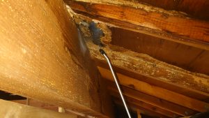 榛東村　２Ｆ屋根雨漏り工事〈ＧＬカラー鋼板　月星商事タフ〉