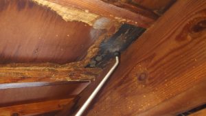 榛東村　２Ｆ屋根雨漏り工事〈ＧＬカラー鋼板　月星商事タフ〉