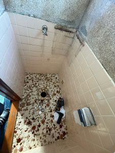 渋川市　１Ｆトイレ工事〈アメージュZ+シャワートイレD〉