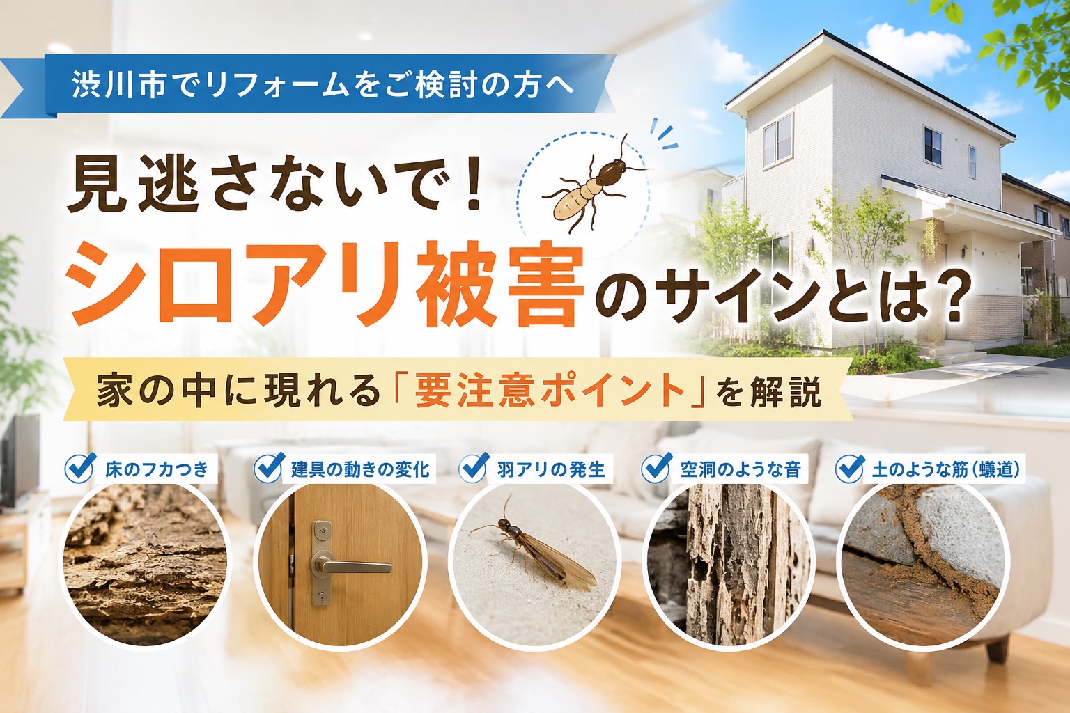 渋川市でリフォームをご検討中の方へ｜見逃さないで！シロアリ被害のサインとは？家の中に現れる「要注意ポイント」を解説